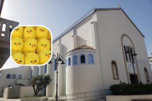 furto Palau