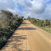 strade Telti