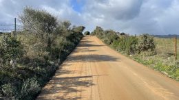 strade Telti