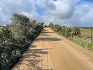 strade Telti