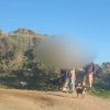 golfo aranci turisti cani