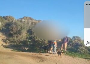 golfo aranci turisti cani