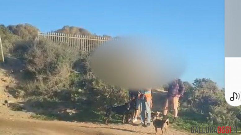 golfo aranci turisti cani