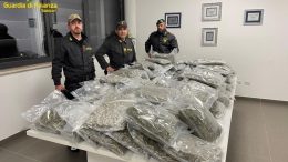marijuana Olbia