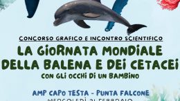 Santa Teresa Gallura giornata mondiale della balena e dei cetacei