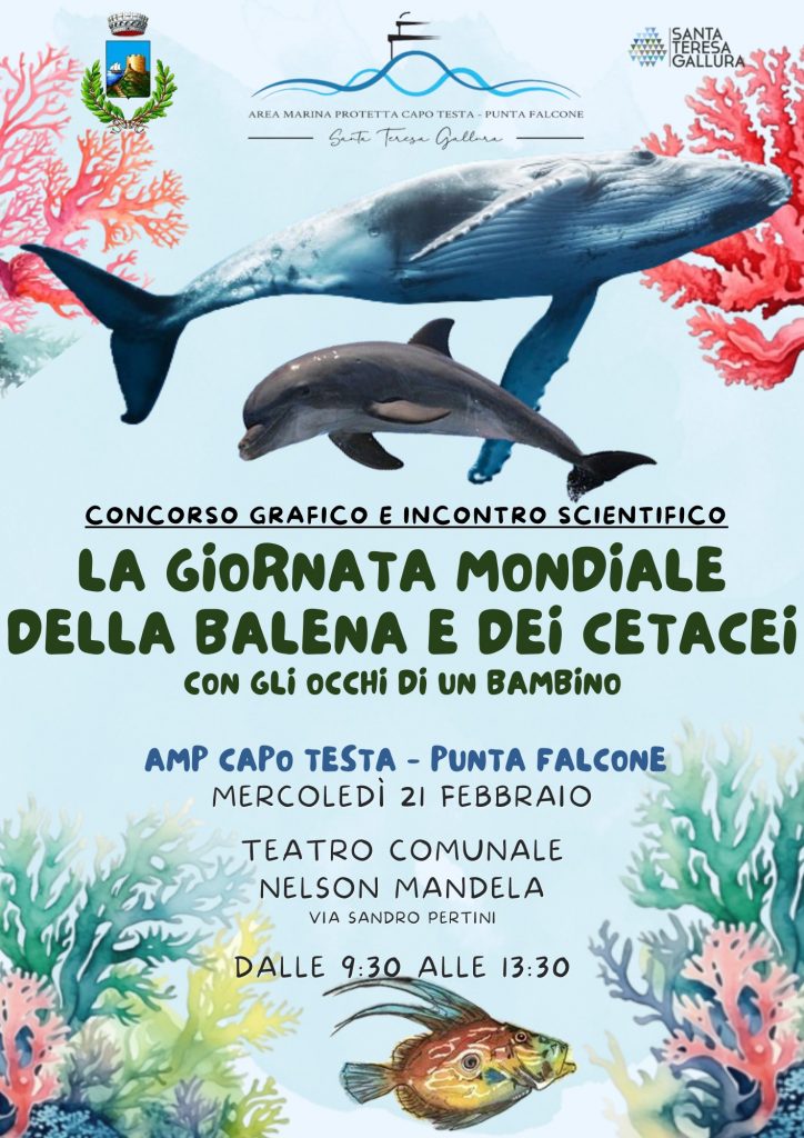 Santa Teresa Gallura giornata mondiale della balena e dei cetacei