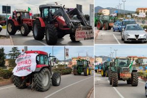 trattori Olbia