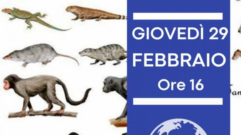 Olbia, viaggio alla scoperta dei nostri antenati