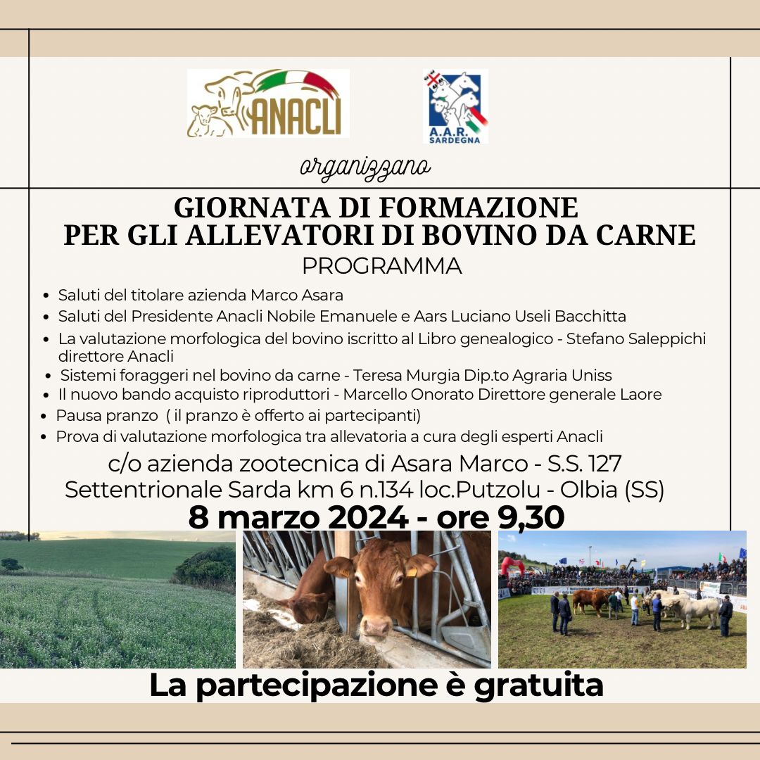 Olbia, giornata di formazione sui bovini da carne