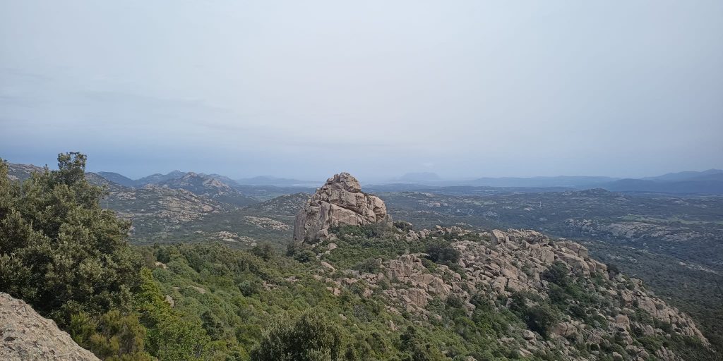 limbara sentiero