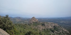 limbara sentiero