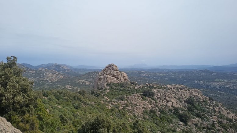 limbara sentiero
