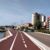 Pums olbia