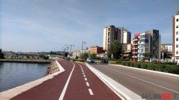 Pums olbia