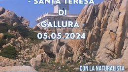 Escursione a Capo Testa