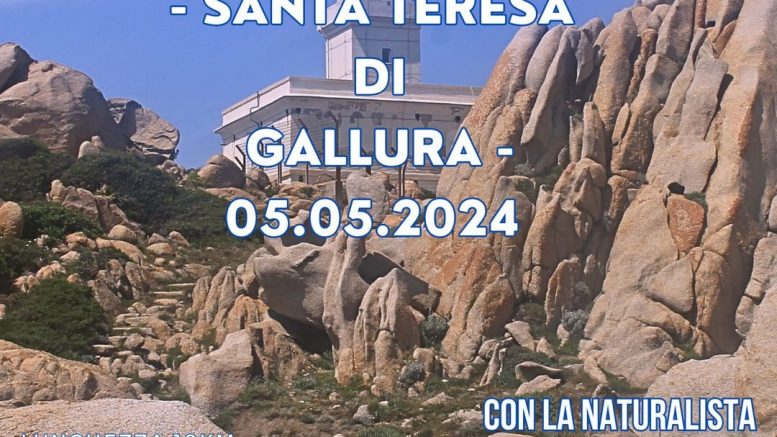 Escursione a Capo Testa