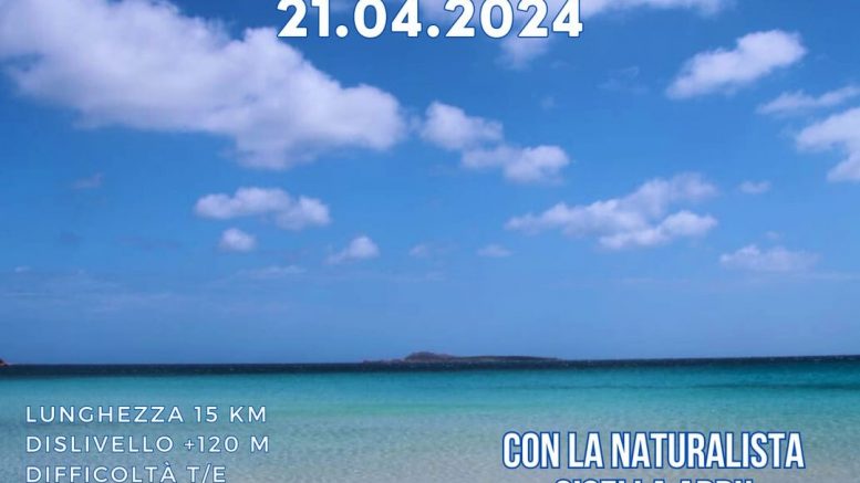 Escursione in Costa Smeralda