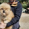 cane Olbia