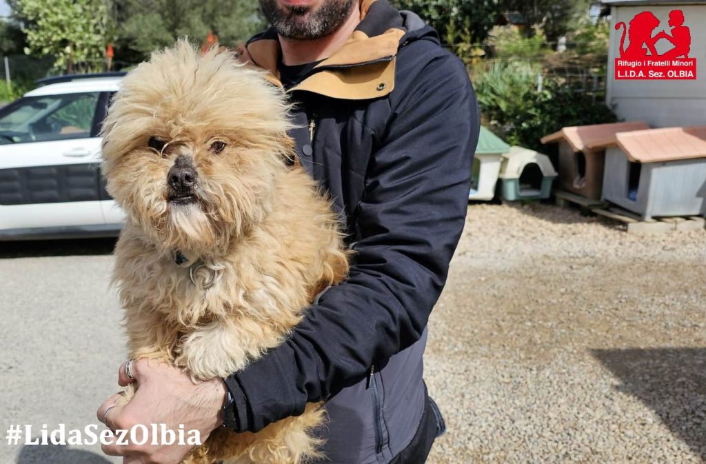 cane Olbia