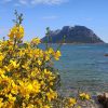 Cosa fare a Olbia e in Gallura questo fine settimana