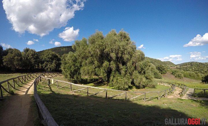 Cosa fare a Olbia e in Gallura questo fine settimana