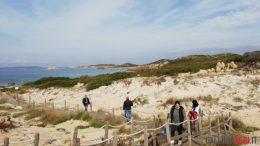 la maddalena falsi allarmismi