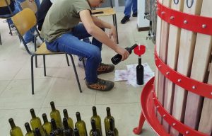 vino olbia