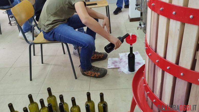 vino olbia