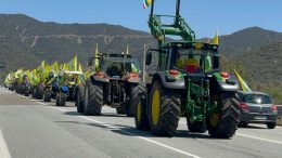 trattori gallura