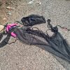 sex toys golfo aranci