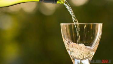 Vino