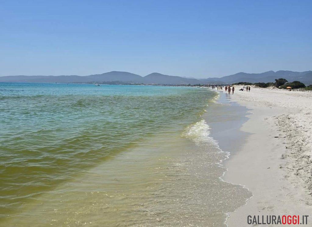 la cinta san teodoro acqua torbida allarme