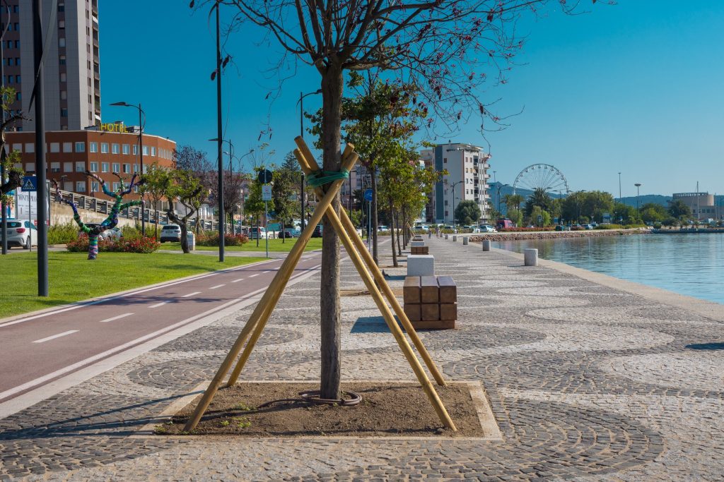 lungomare olbia