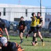 olbia rugby api olbiesi
