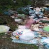 cultura ambientale ecologica ecosistema olbia rifiuti telti