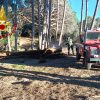 Fiamme nella pineta di Caprera, scatta l'allarme