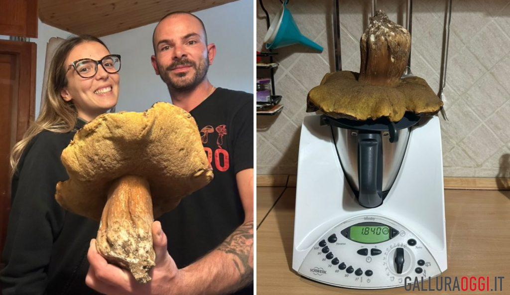 Porcino nero da record in Gallura, la scoperta di Marco e Sara