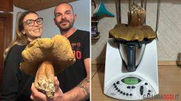 Porcino nero da record in Gallura, la scoperta di Marco e Sara