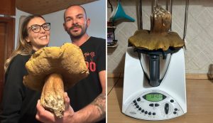 Porcino nero da record in Gallura, la scoperta di Marco e Sara