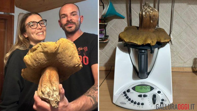 Porcino nero da record in Gallura, la scoperta di Marco e Sara