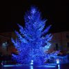 albero tempio