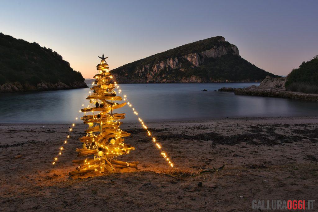 L'albero di Natale di Cala Moresca