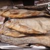 Pesca illegale nelle acque della Gallura, sequestri e multe