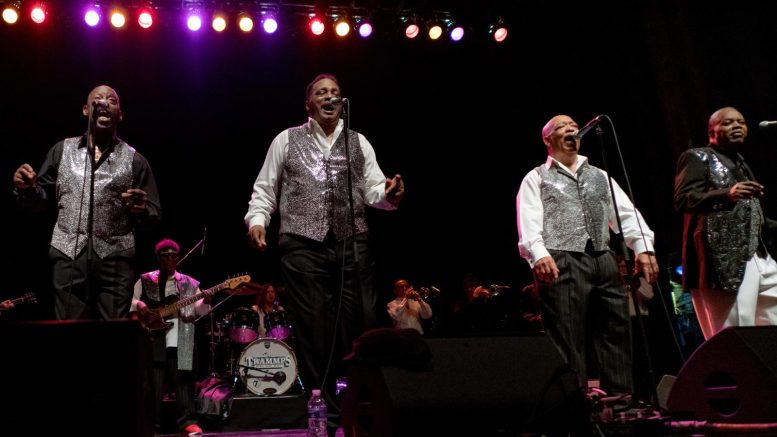 The Trammps