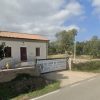 canile comunale tempio