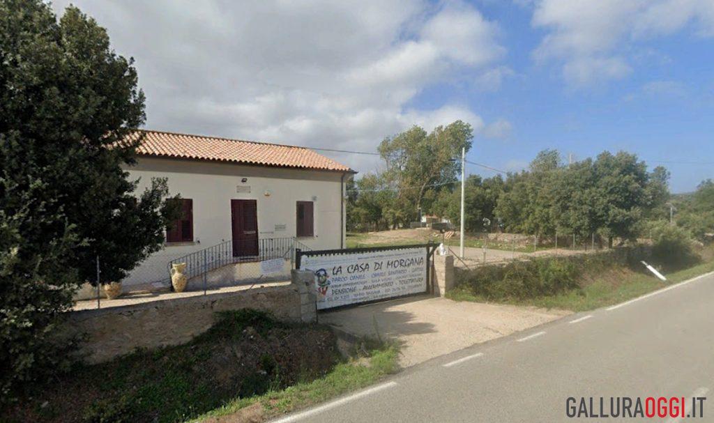 canile comunale tempio