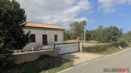 canile comunale tempio