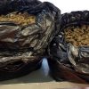 sacchi droga olbia
