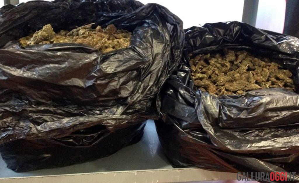 sacchi droga olbia