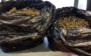 sacchi droga olbia
